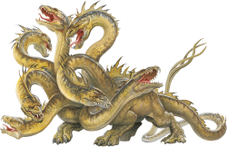 The Hydra